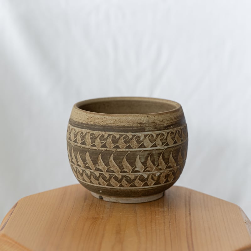 保田修作×rimwork 陶器鉢 鉢 塊根植物 多肉植物 珍奇植物 静岡
