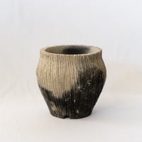 保田修作 陶器鉢 粉引 鉢 塊根植物 多肉植物 珍奇植物 静岡 ANTIDOTE