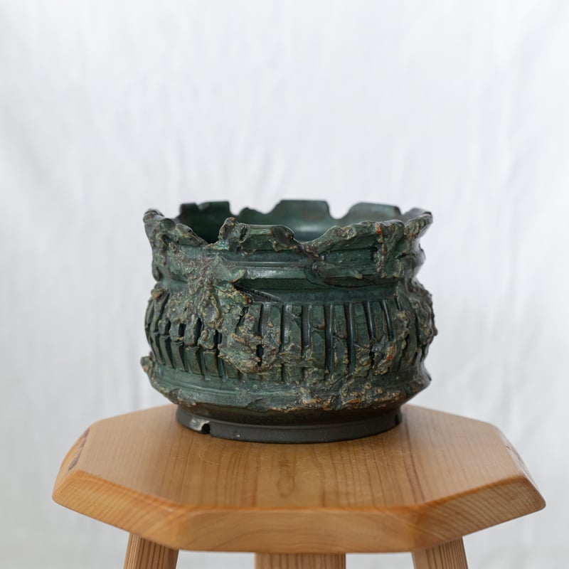 保田修作 作家鉢 塊根植物 保田修作 | STORES
