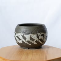 保田修作×rimwork 陶器鉢 鉢 塊根植物 多肉植物 珍奇植物 静岡 ANTIDOTE 通販 SP31