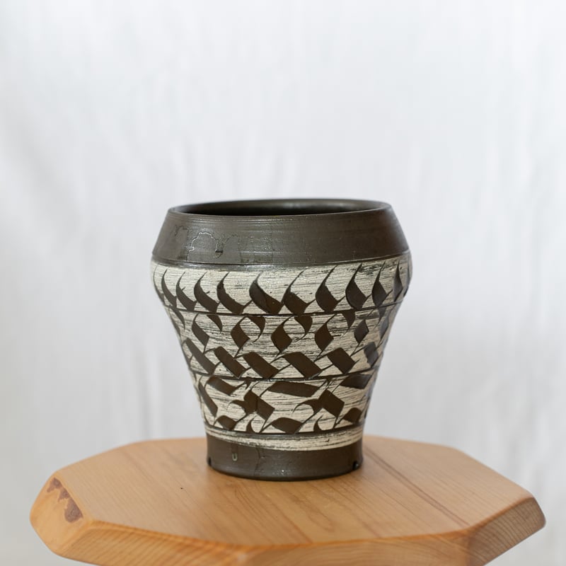 園芸用品 保田修作 作家鉢 塊根植物