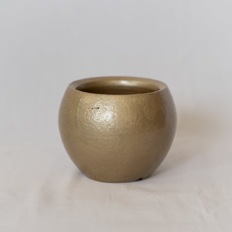 出口結莉 陶器鉢 陶胎漆器 作家鉢 植木鉢 鉢 塊根植物 多肉植物 珍奇植物 静岡 ANTIDOTE 通販 SP45