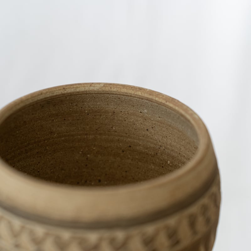 保田修作×rimwork 陶器鉢 鉢 塊根植物 多肉植物 珍奇植物 静岡
