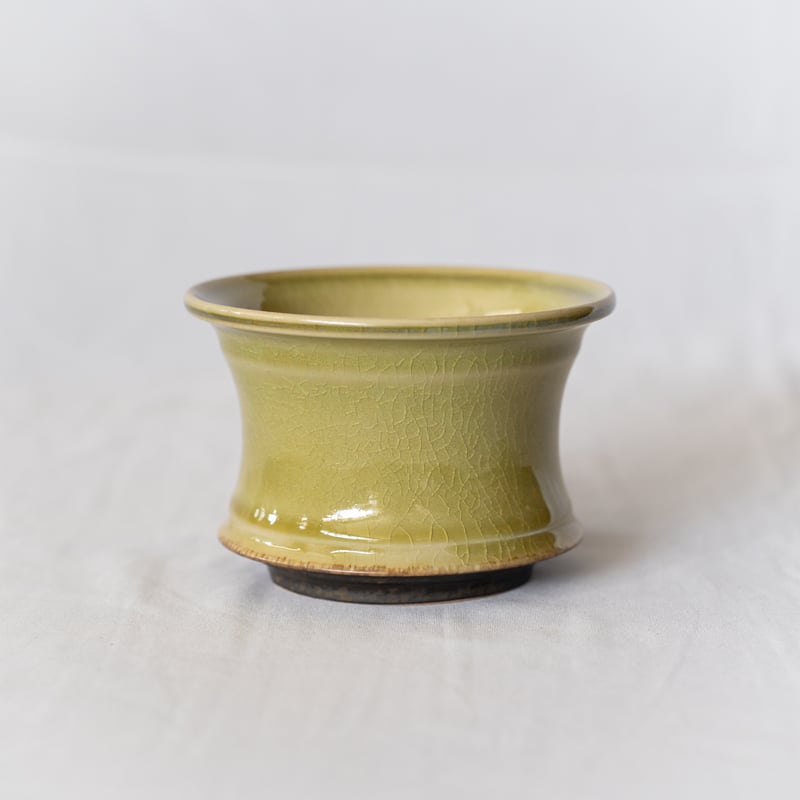 観葉植物 クリーム色の陶器鉢 William Morris陶器鉢 Cタイプ L – 植物家族