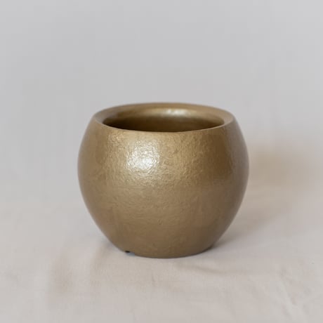 出口結莉 陶器鉢 陶胎漆器 作家鉢 植木鉢 鉢 塊根植物 多肉植物 珍奇植物 静岡 ANTIDOTE 通販 SP45