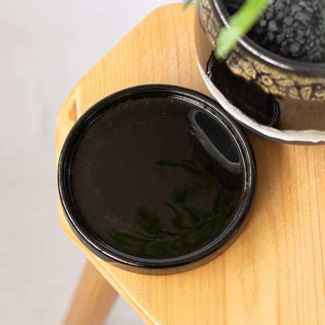 エバーフレッシュ 鉢セット Pithecellobium 観葉植物 多肉植物 インテリアグリーン 静岡 ANTIDOTE 通販 S1195