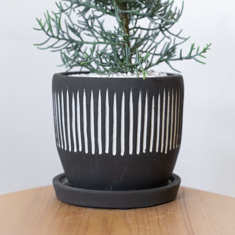 コタニ アカネさん専用 コタニ アカネさん専用 コタニ アカネさん専用 YAN さん専用 YANさん