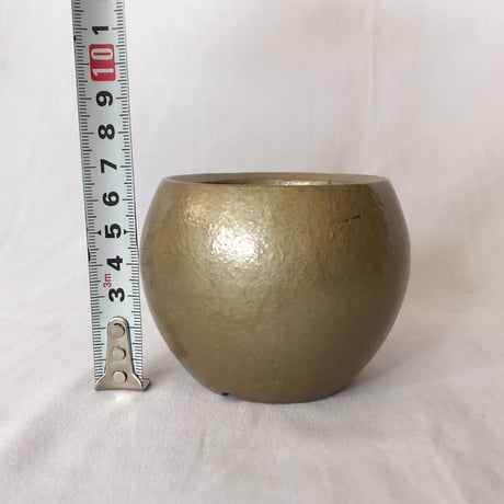 出口結莉 陶器鉢 陶胎漆器 作家鉢 植木鉢 鉢 塊根植物 多肉植物 珍奇植物 静岡 ANTIDOTE 通販 SP45