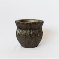 出口結莉 陶器鉢 陶胎漆器 作家鉢 植木鉢 鉢 塊根植物 多肉植物 珍奇植物 静岡 ANTIDOTE 通販 SP46