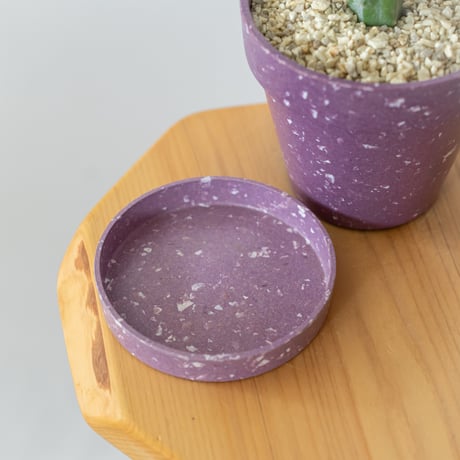ギムノカリキウム 牡丹玉 鉢セット【エコポット】Gymnocalycium friedichii 接ぎ木 サボテン 多肉植物 珍奇植物 静岡 ANTIDOTE 通販S1027