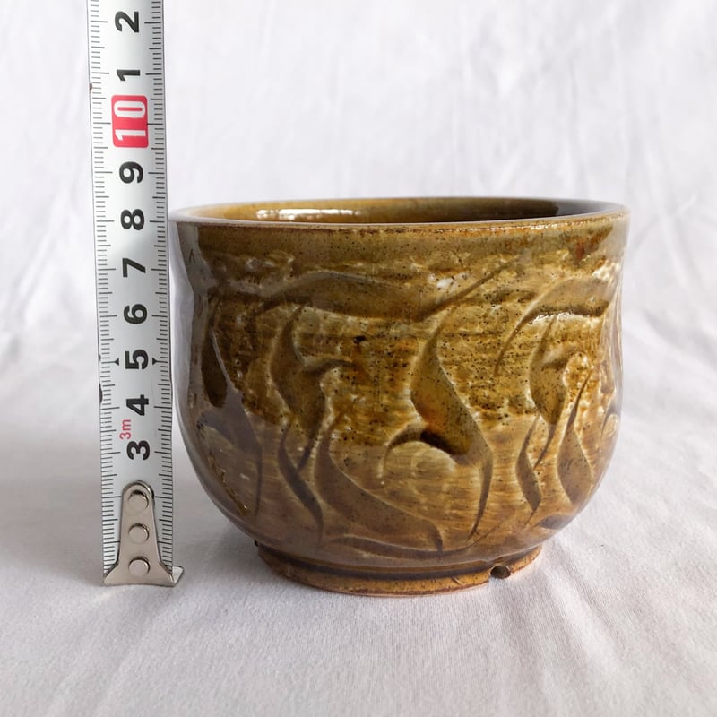 保田修作×rimwork 陶器鉢 鉢 塊根植物 多肉植物 珍奇植物 静岡