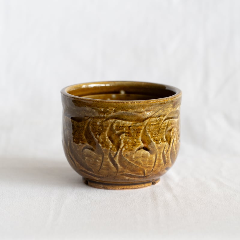 保田修作×rimwork 陶器鉢 鉢 塊根植物 多肉植物 珍奇植物 静岡