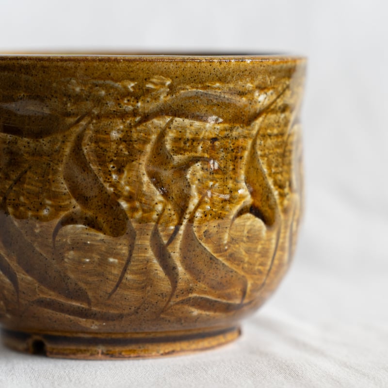 保田修作×rimwork 陶器鉢 鉢 塊根植物 多肉植物 珍奇植物 静岡