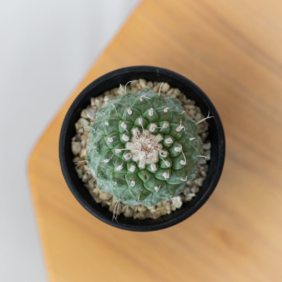 68fee795b776cf93cd582e50