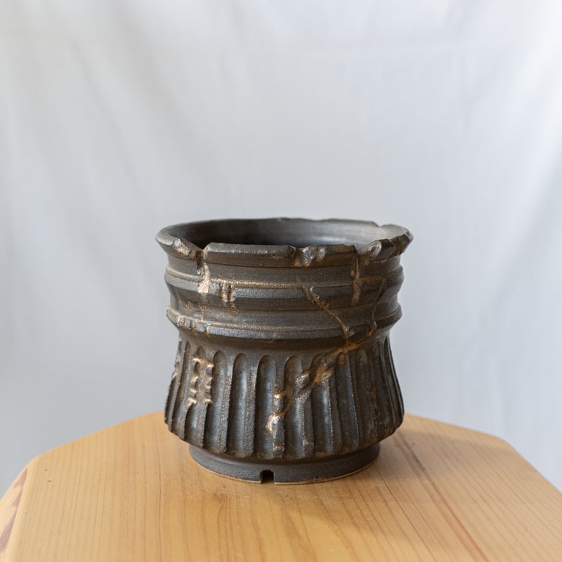 保田修作　作家鉢　塊根植物 保田修作 陶器鉢 鉢 塊根植物 多肉植物 珍奇植物 静岡 ANTIDOTE 通販