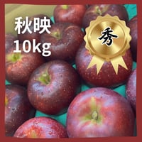 秋映（あきばえ）【秀】10ｋｇ