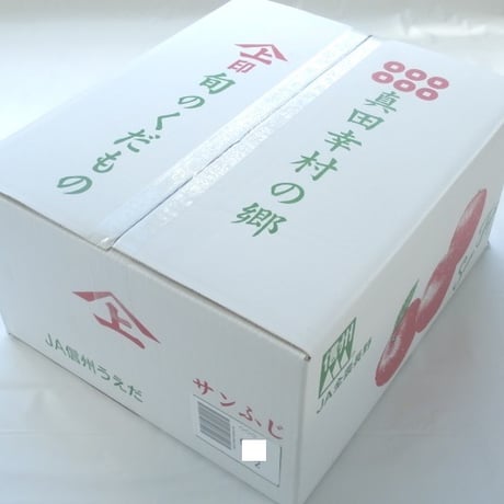 【特秀】　サンふじ10kg