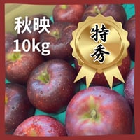 秋映（あきばえ）【特秀】10ｋｇ