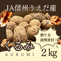 JA信州うえだ産（東部共選） 【殻付きくるみ】２㎏