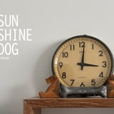 SUNSHINE DOG