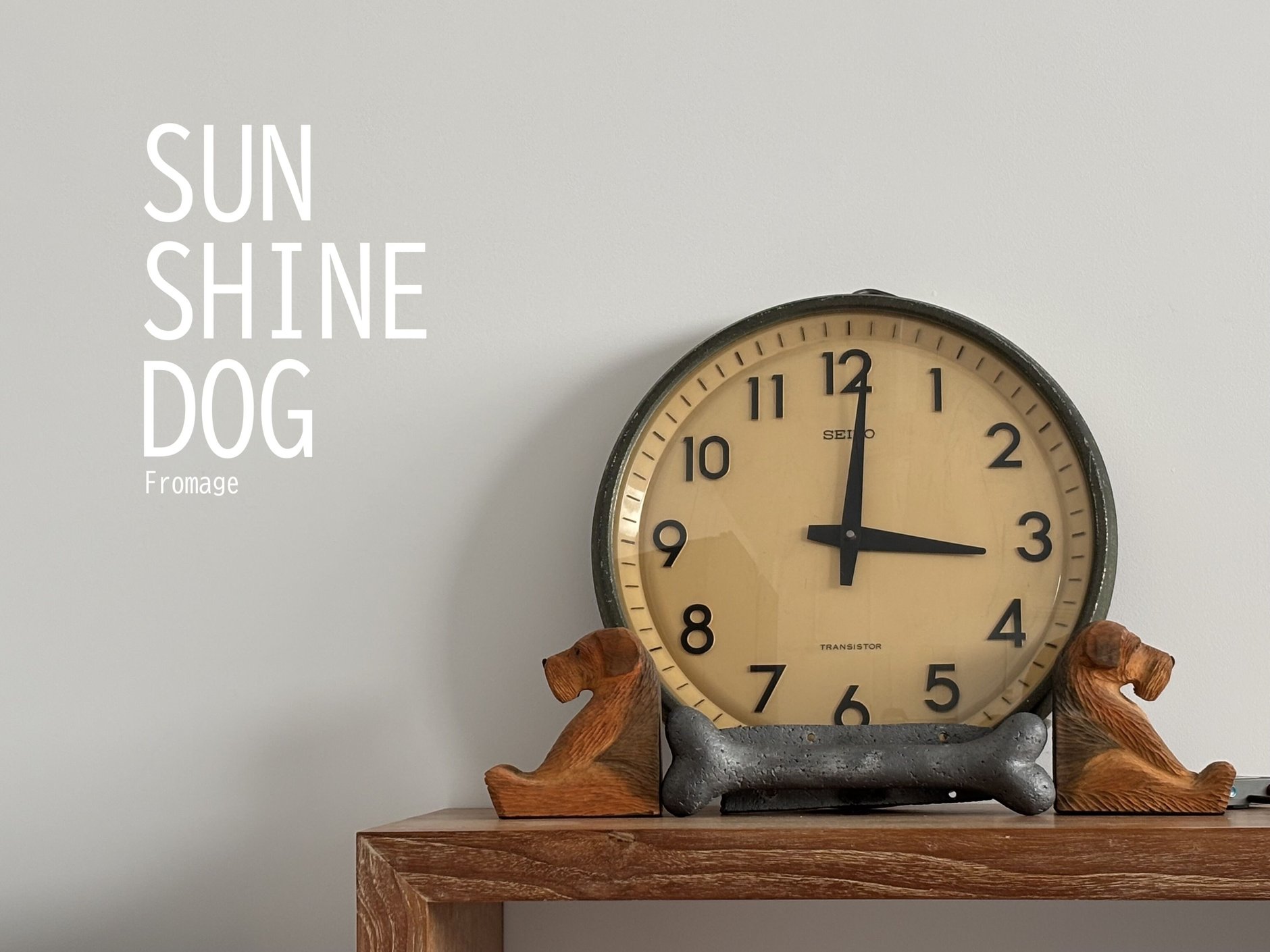 SUNSHINE DOG