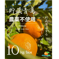【農薬不使用】三ヶ日げんきみかん　青島貯蔵みかん　10kg