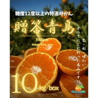 【贈答品】三ヶ日げんきみかん　青島貯蔵みかん　10kg