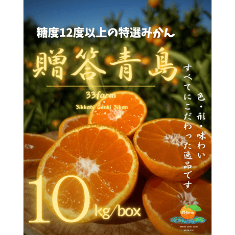【贈答品】三ヶ日げんきみかん　青島貯蔵みかん　10kg