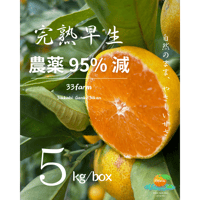 【農薬95％減】三ヶ日げんきみかん 早生５kg