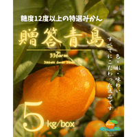 【贈答品】三ヶ日げんきみかん　青島貯蔵みかん　5kg