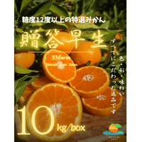 【贈答品】三ケ日げんきみかん　早生みかん　10kg