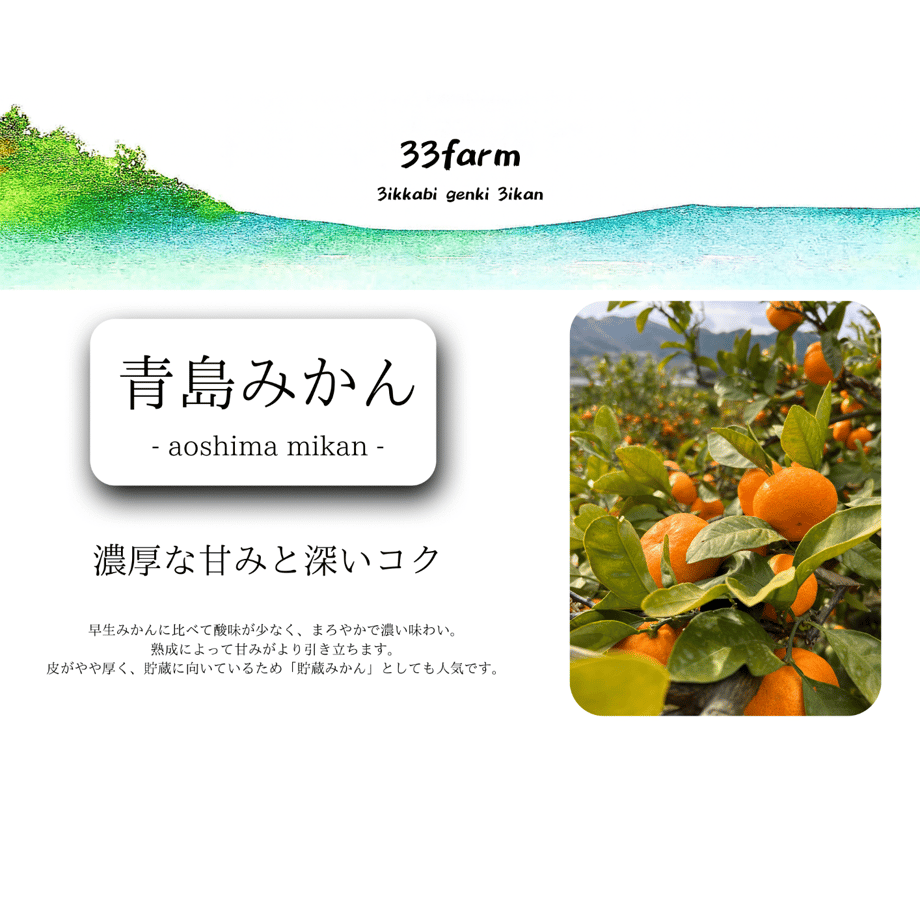 67186cac45c8a90175a0e7fb