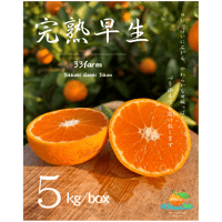 三ヶ日げんきみかん【早生】　５kg