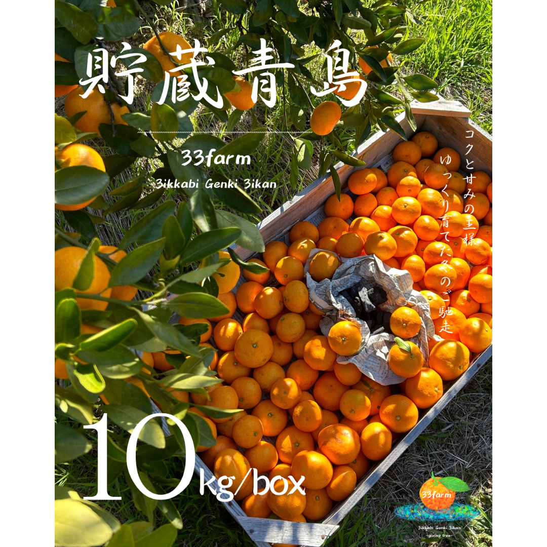 三ヶ日青島瓶詰め10本 【公式通販】
