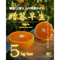【贈答品】三ケ日げんきみかん　早生みかん　5kg