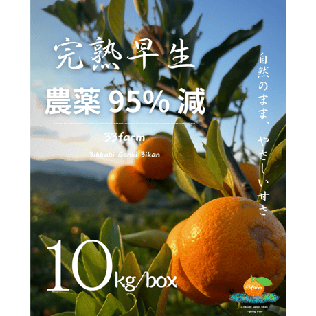 【農薬95％減】三ヶ日げんきみかん 早生みかん10kg