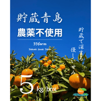 【農薬不使用】三ヶ日げんきみかん　青島貯蔵みかん　５kg