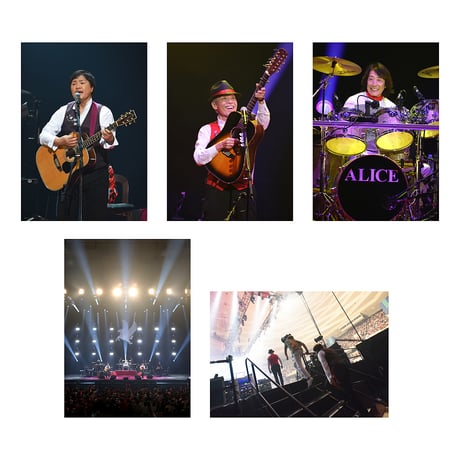 aliceforever | STORES