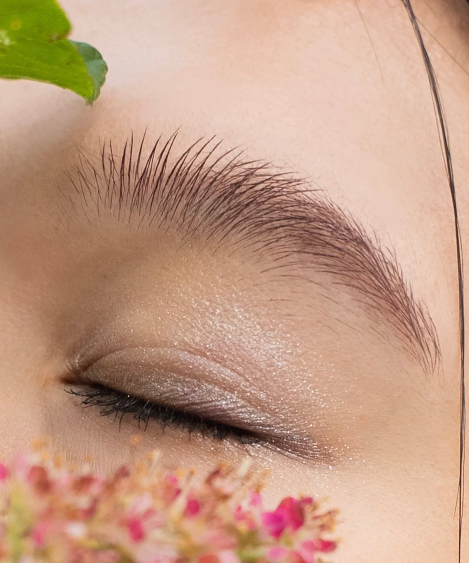 6781dc77a7ffd425ec451fcb