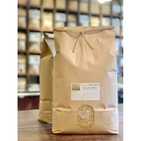 令和7年】とちぎの星【栃木県産/5kg】 | RICE MEISTER SHOP YAMAS