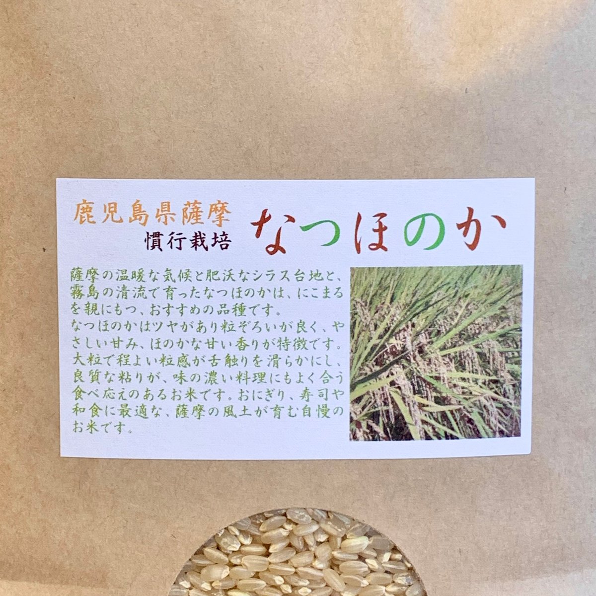 令和7年】なつほのか【鹿児島県薩摩産/5kg】 | RICE MEISTER SHOP YA