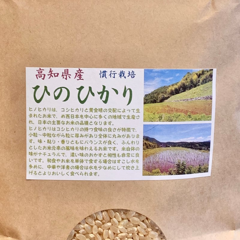 令和7年】ヒノヒカリ【高知県産/5kg】 | RICE MEISTER SHOP YAMAS