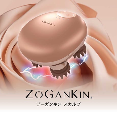 【ZOGANKIN】 ゾーガンキン スカルプ