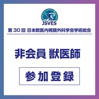 非会員｜獣医師【第30回日本獣医内視鏡外科学会学術総会】