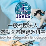 一般社団法人日本獣医内視鏡外科学会