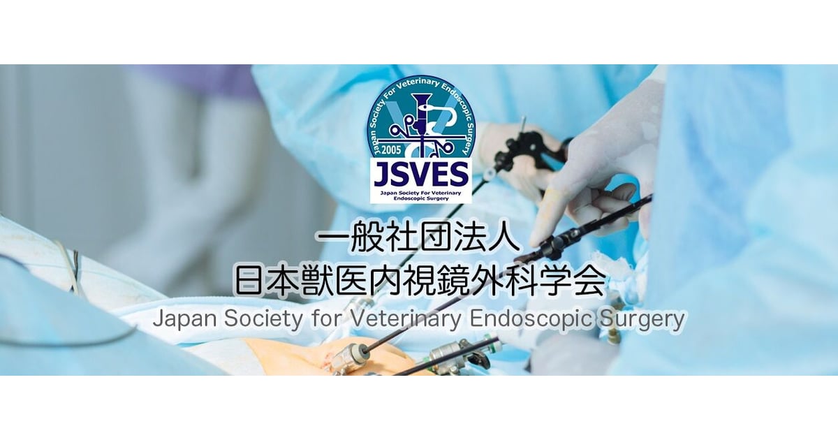 一般社団法人日本獣医内視鏡外科学会