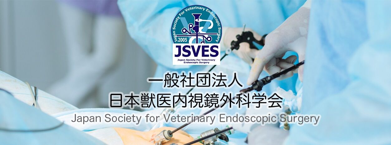 一般社団法人日本獣医内視鏡外科学会