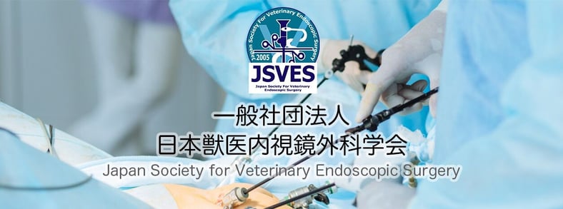 一般社団法人日本獣医内視鏡外科学会