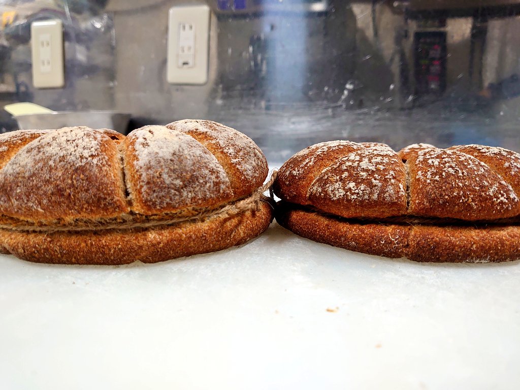 Panis quadratus お試し古代小麦と現代小麦の食べ比べセット | うさぎ