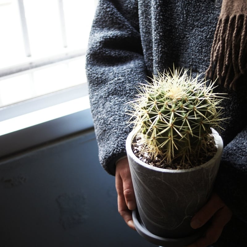 on-lineshop限定【一点モノ現品】サボテン金鯱5号 Gray色マーブル柄